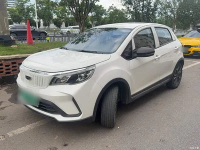 2021 Geely EX3 Kung Fu Bull Strong Bull, фото 2, лот 11155724