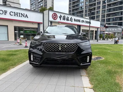 2020 WEY VV7 Model 2.0T Flagship, фото 2, лот 10612260