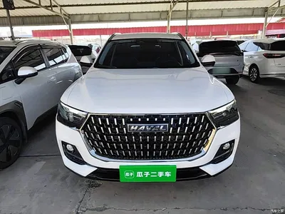 2023 Haval H6 National Trend Edition 1.5T Automatic Champion, фото 3, лот 10417384