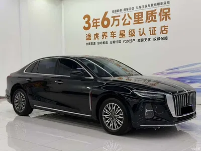 2025 Hongqi H5 1.5T DCT Flag Rhythm 500,000 Units Memorial Edition, фото 3, лот 11493830