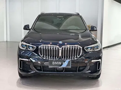 2022 BMW X5 Facelift xDrive 40Li Premium M Sport Package, фото 2, лот 10462565