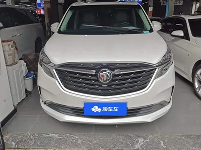 2022 Buick GL8 ES Landmark 653T Comfort, фото 2, лот 10250215