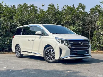 2021 GAC Trumpchi Trumpchi M8 Leading Show Series 390T Premium Edition, фото 3, лот 11223408