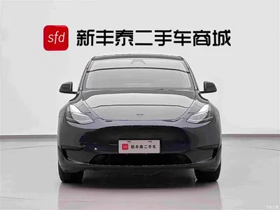 2024 Tesla Model Y Rear-Wheel Drive Version, фото 2, лот 10674635