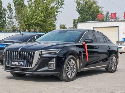 2023 Hongqi H5 1.5T DCT Smart Connect Flag Rhythm, фото 1, лот 11088237