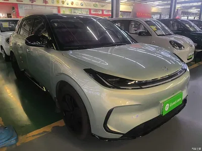 2025 ARCFOX T1 425 Base Version, фото 4, лот 10285214