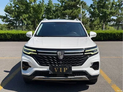 2021 Roewe RX5 MAX Supreme Series 400TGI Auto Luxury Cabin Edition, фото 1, лот 10340271