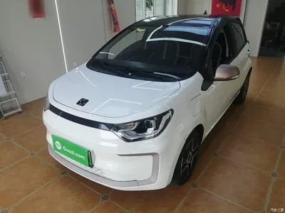 2022 Sehol Flower Fairy Model Flower Fairy Edition Four-Leaf Clover, фото 2, лот 11502599
