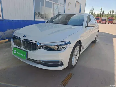 2020 BMW 5 Series 530Li Leading Luxury Package, фото 1, лот 11501766