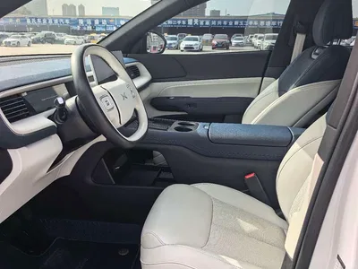 2023 XPeng G6 580 Long Range Max, фото 4, лот 10376114