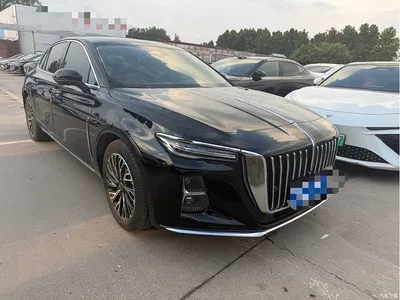 2025 Hongqi H5 2.0T Automatic Flag Celebration 500,000 Units Anniversary Edition, фото 3, лот 10287734