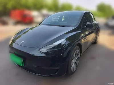 2021 Tesla Model Y Standard Range Rear-Wheel Drive, фото 1, лот 10374179
