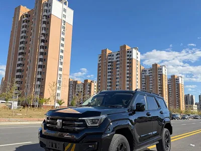 2024 Tank 400 New Energy Hi4-T Off-Road Edition, фото 1, лот 11569947