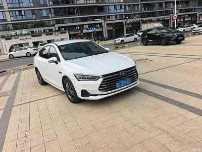 2020 BYD Qin Pro Surpass Edition 1.5TI Manual Luxury, фото 3, лот 10957962