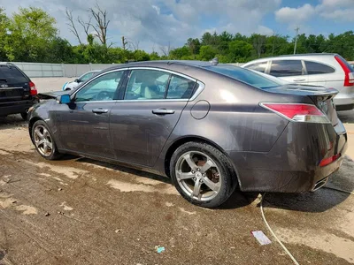 2010 ACURA TL, фото 2, лот 10870599