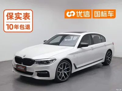 2018 BMW 5 Series 530Li xDrive M Sport Package, фото 1, лот 10455782