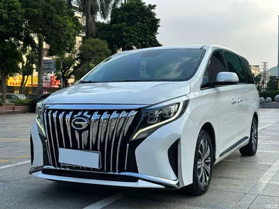 2018 GAC Trumpchi Trumpchi M8 320T Premium Edition, фото 1, лот 10689832