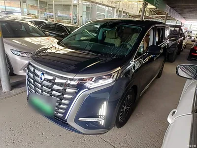 2022 Denza D9 DM-i 1040 Premium, фото 1, лот 10450015