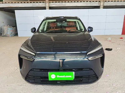 2025 WEY Lanshan AWD Max, фото 3, лот 10452152