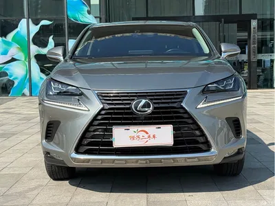 2018 Lexus NX Model 200 FWD Fengxing Edition China V, фото 4, лот 10394463