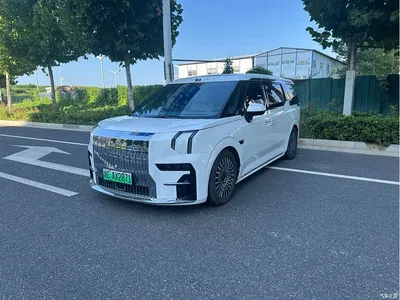 2024 ZEEKR 009 6-seat Executive AWD 108kWh, фото 1, лот 11565178