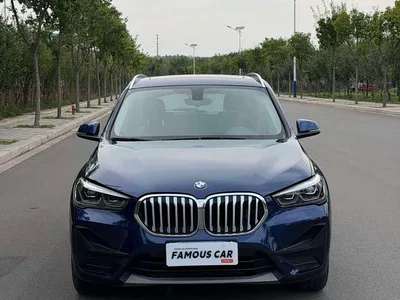 2020 BMW X1 sDrive20Li Fashion Model, фото 2, лот 11448983