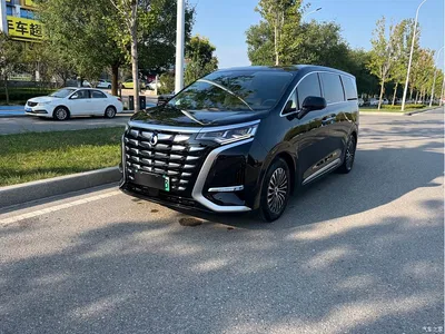 2024 Denza D9 DM-i 980 AWD Premium, фото 1, лот 10346336