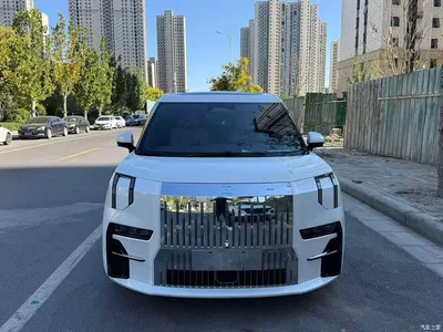 2022 ZEEKR 009 WE Edition, фото 3, лот 10305616