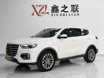 2020 Haval H6 1.5GDIT Automatic Platinum Champion Edition, фото 1, лот 10605147