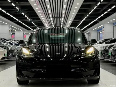 2022 Tesla Model 3 Model Rear-Wheel Drive Version, фото 2, лот 10350722