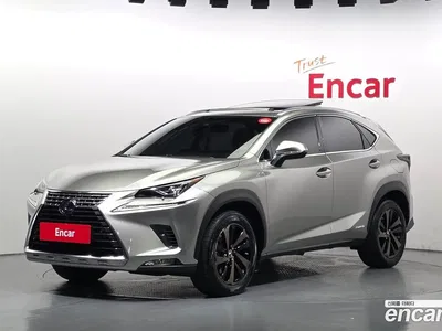 2019 Lexus NX 300h Executive, фото 1, лот 10201387