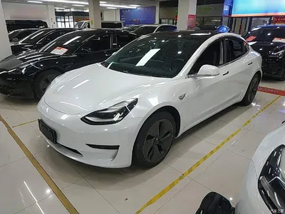 2020 Tesla Model 3 Standard Range Rear-Wheel Drive Upgrade, фото 2, лот 10370108