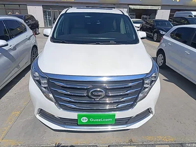 2018 GAC Trumpchi Trumpchi M8 320T Exclusive Edition, фото 3, лот 11395618