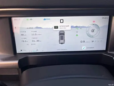 2023 Jetour Traveler Model 2.0T 4WD Cross PRO, фото 3, лот 10425258