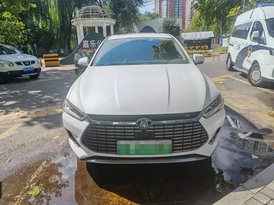 2019 BYD Qin Pro New Energy EV Super Edition High-power Smart Connection Premium, фото 2, лот 11203967