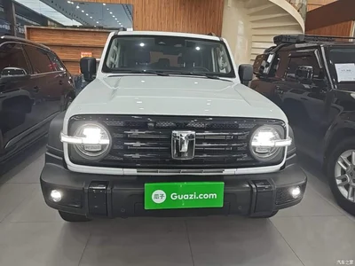 2024 Tank 300 Model 2.0T Challenger, фото 3, лот 11395628