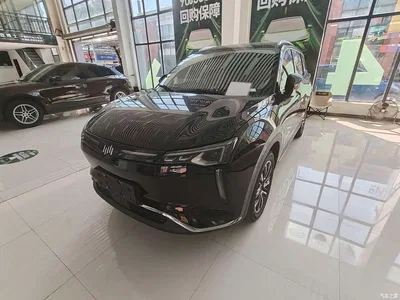 2021 Weltmeister W6 520km PRO All-round Edition, фото 1, лот 11583739