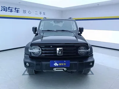 2021 Tank 300 Off-road Version 2.0T Conqueror, фото 2, лот 11508751