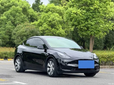 2022 Tesla Model Y Rear-Wheel Drive Version, фото 3, лот 11241849