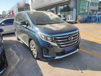 2020 GAC Trumpchi Trumpchi M8 Pilot 390T Prestige Edition, фото 4, лот 11580053