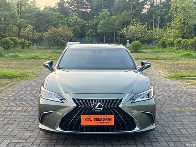 2022 Lexus ES 200 Excellence Edition, фото 2, лот 10312122