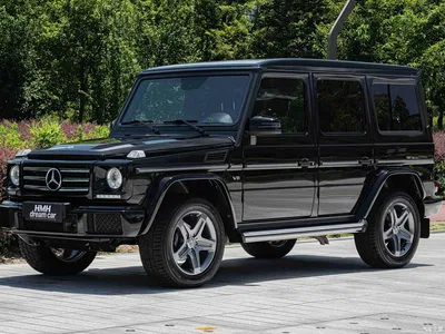 2017 Mercedes G Klasse, фото 1, лот 10246538