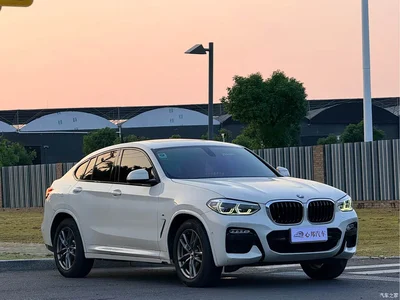 2019 BMW X4 xDrive25i M Sport Package, фото 3, лот 10409681