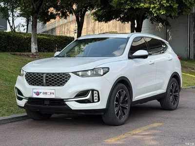 2021 WEY VV6 2.0T 2WD Smart Enjoyment+, фото 1, лот 10451786