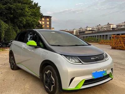 2021 BYD Dolphin Model 405km Fashion Edition, фото 1, лот 10383993