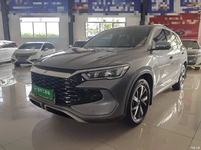 2024 BYD Song Pro New Energy Glory Edition DM-i 71KM Pilot, фото 1, лот 10272495