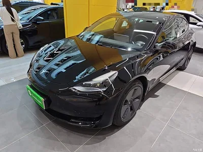 2022 Tesla Model 3 Model Rear-Wheel Drive Version, фото 1, лот 10955283