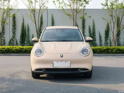 2022 Ora Good Cat Model Morandi Edition 400km Standard Range Luxury LFP, фото 2, лот 11213150