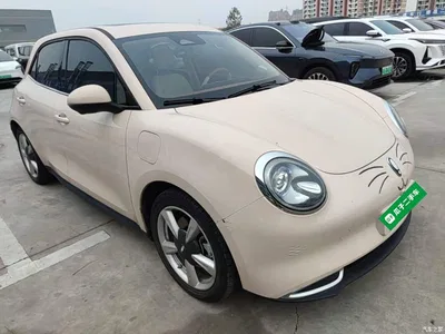 2023 Ora Good Cat 401km Standard Range Honor Edition (LFP), фото 4, лот 11081489