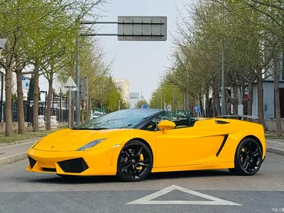 2009 Lamborghini Gallardo Lamborghini LP 560-4 Spyder, фото 1, лот 10309620